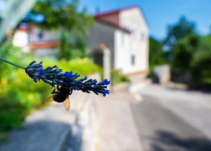 Lumos - Free Private Parking * Matulji